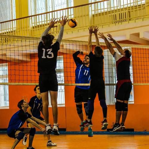 Photo #9931608