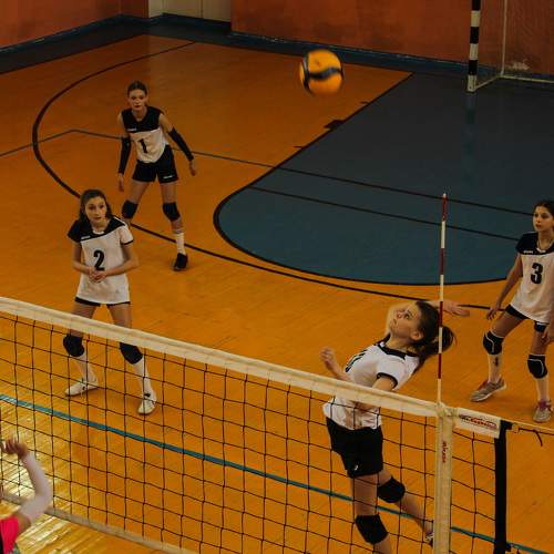 Photo #9931609