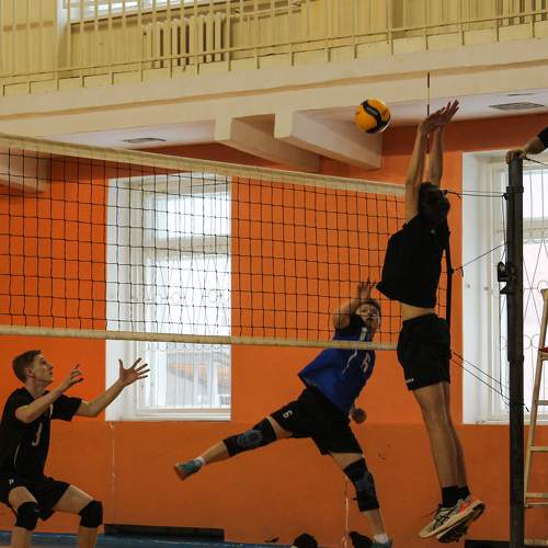 Photo #9931611
