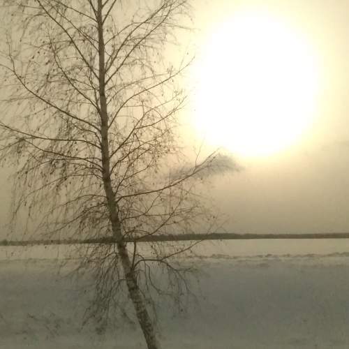 Photo #9931637
