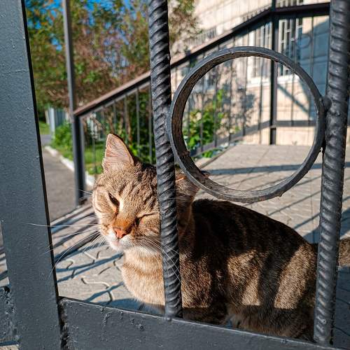 Photo #9932017