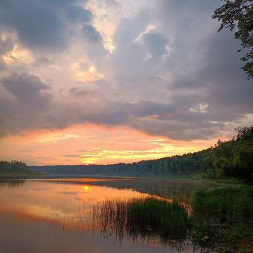 Photo #9932023