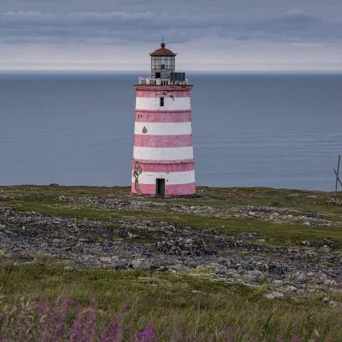 Photo #9932186