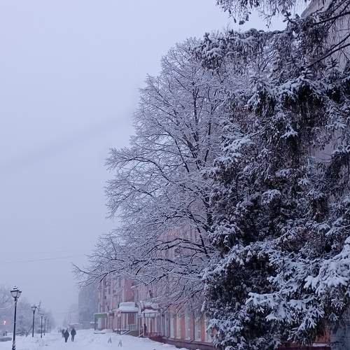 Photo #9932204