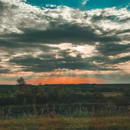 Photo #9932507