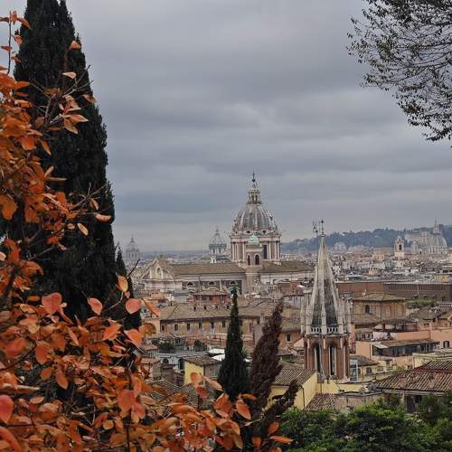 Photo #9932602