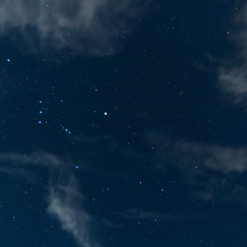 Photo #9932641