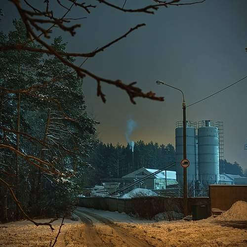 Photo #9932748