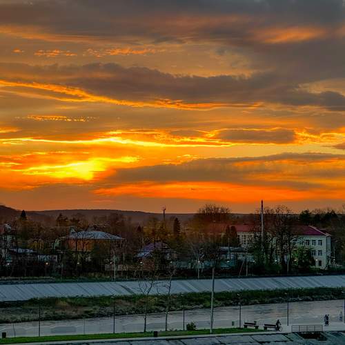 Photo #9932795