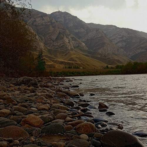 Photo #9932861