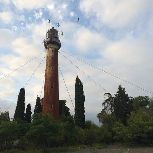 Photo #9932968