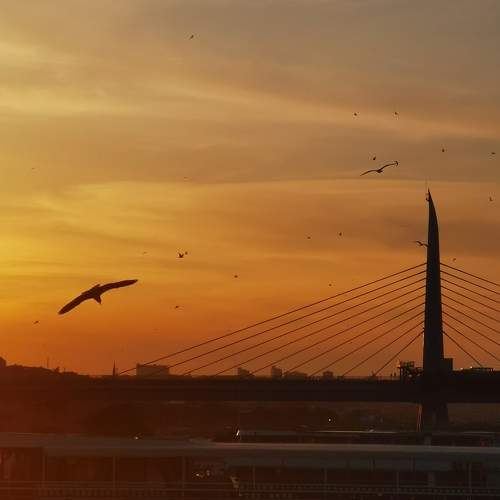 Photo #9933256