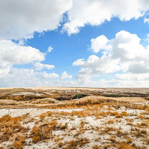 Фотография #9933430