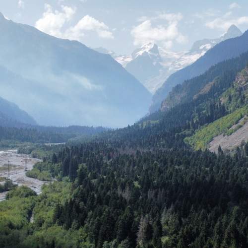 Photo #9933463