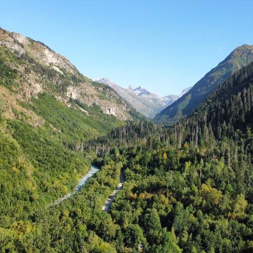 Photo #9933467