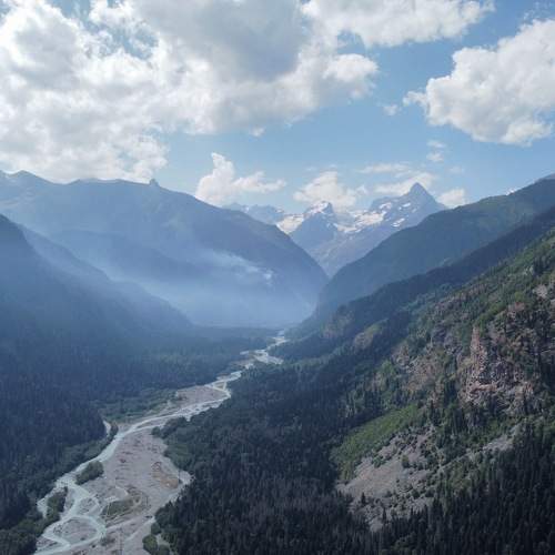Photo #9933468