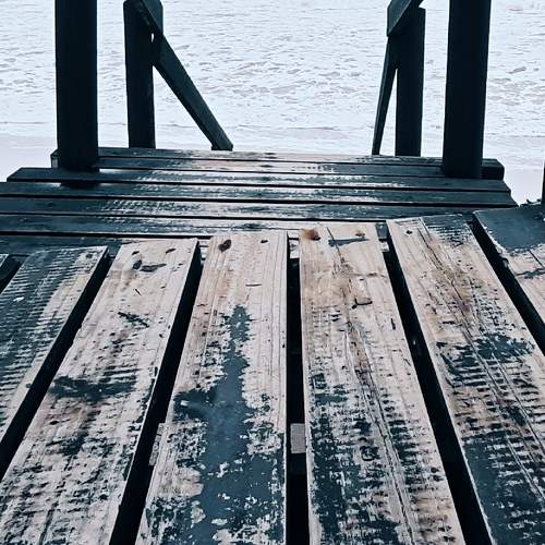 Photo #9933711