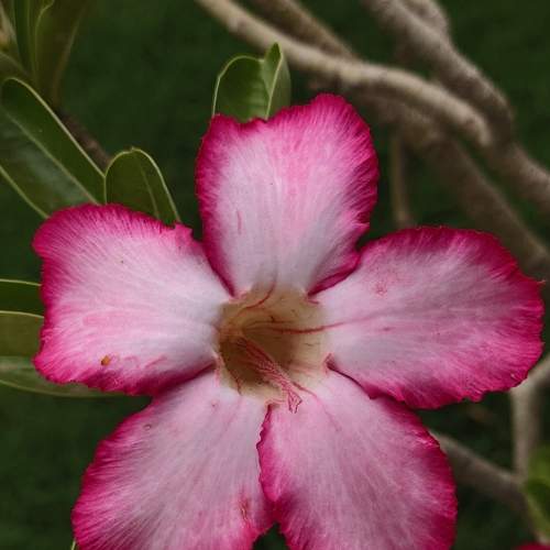 Photo #9934329