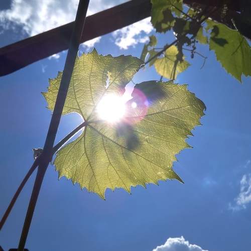 Photo #9934470