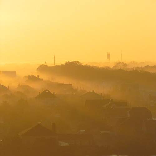 Photo #9934828