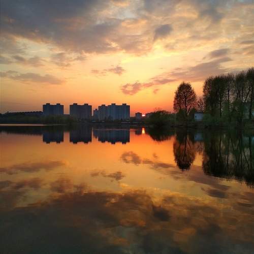 Photo #9934876