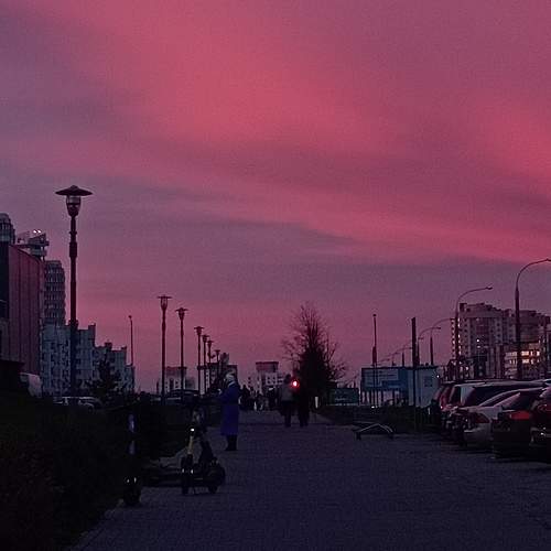 Photo #9934931
