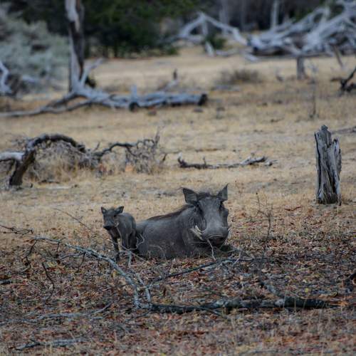 Photo #9935140