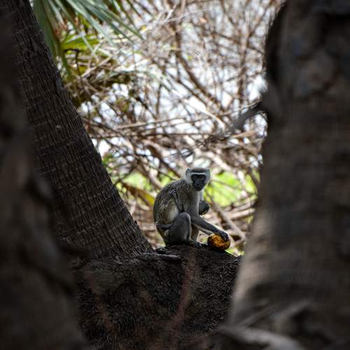 Photo #9935141