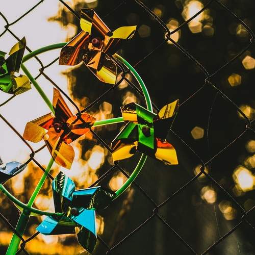 Photo #9935230