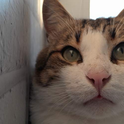 Photo #9935402