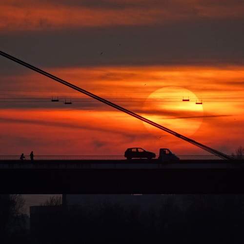 Photo #9935491