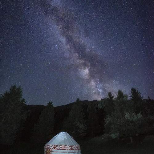 Photo #9936276