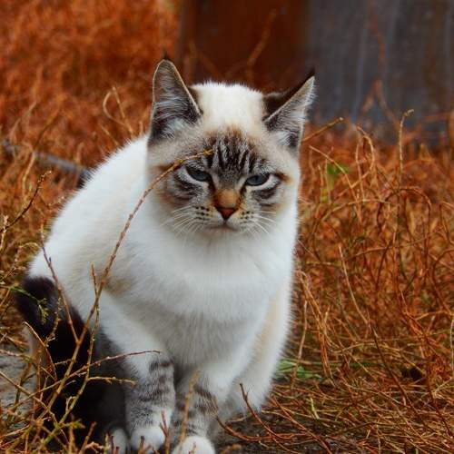 Photo #9936625