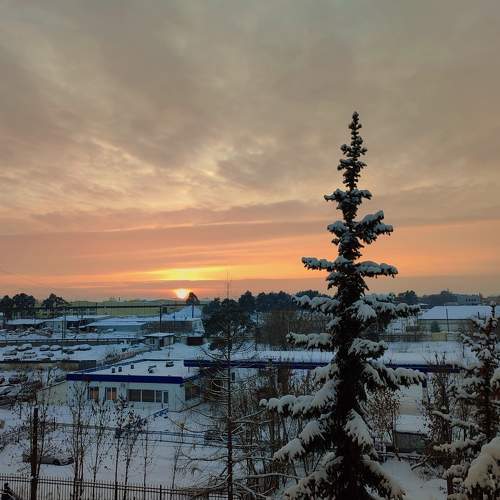 Photo #9936911