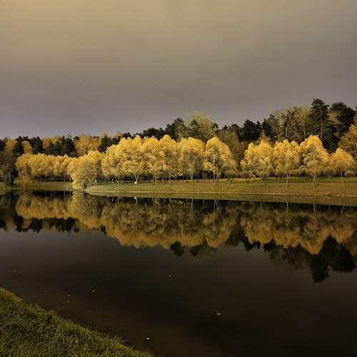 Photo #9937156