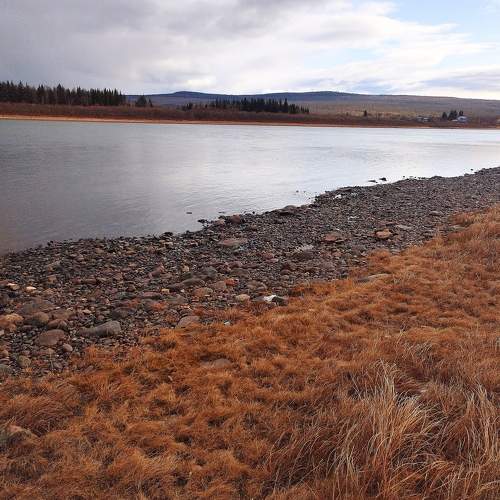 Photo #9937287