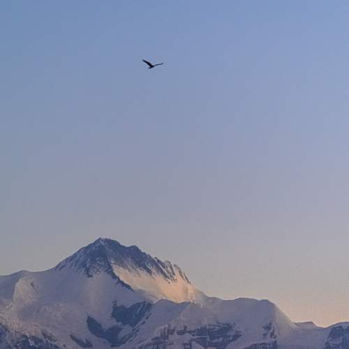 Photo #9937331