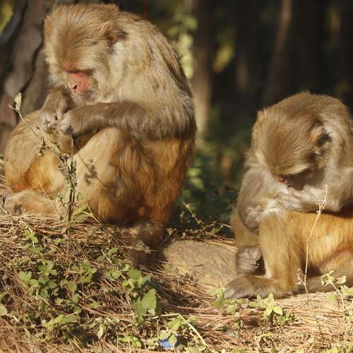 Photo #9937458