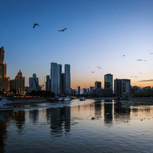 Photo #9938004