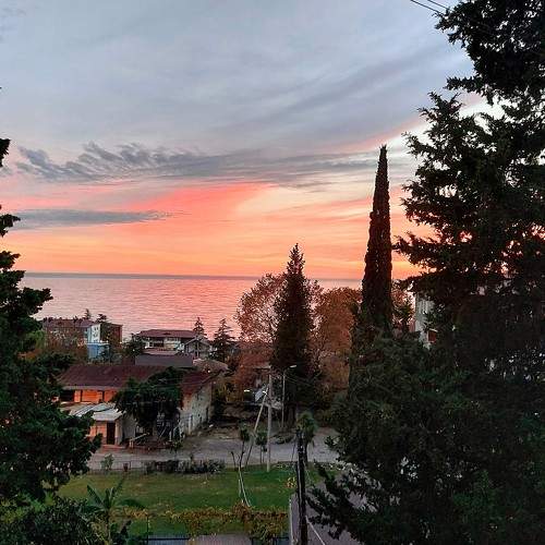 Photo #9938395