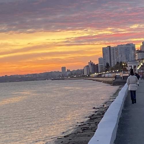 Photo #9938605