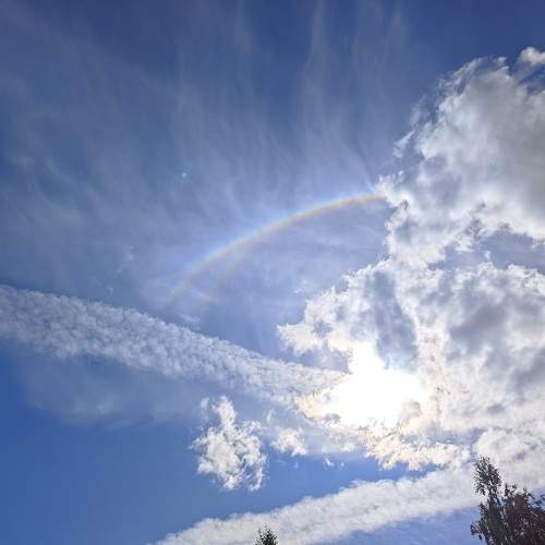 Photo #9939240