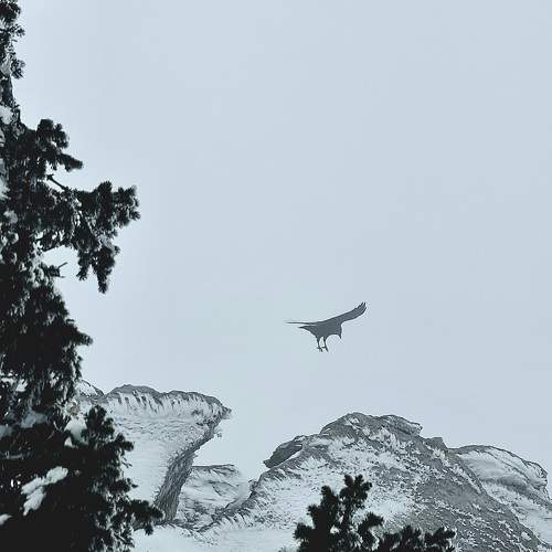Photo #9939469