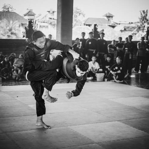 Photo #9939770
