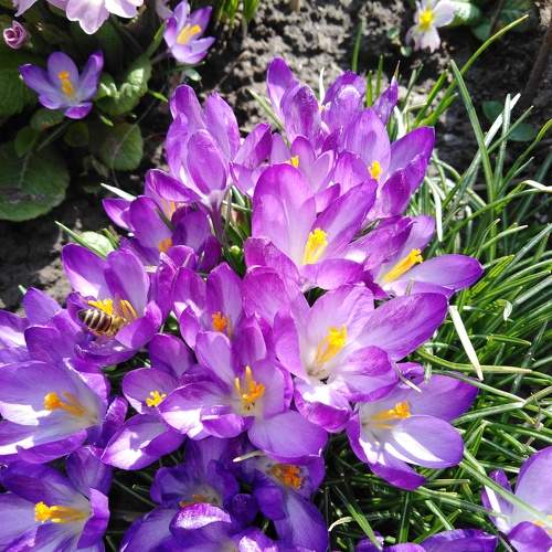Photo #9939961
