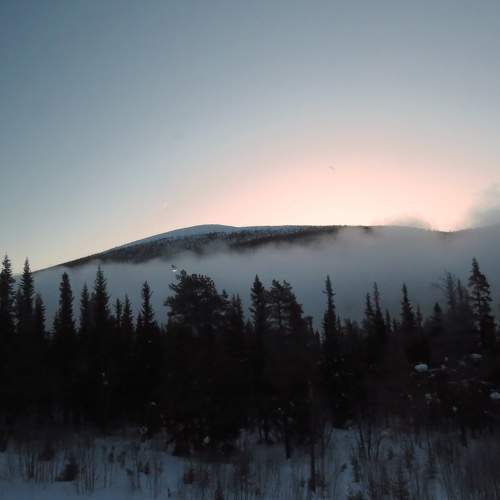 Photo #9940072