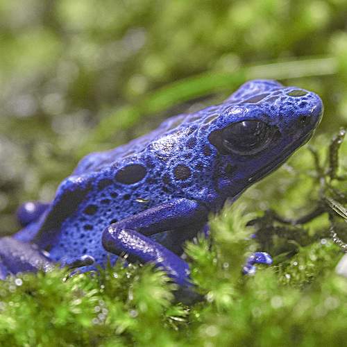 Photo #9940160
