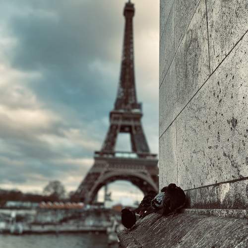 Photo #9940195