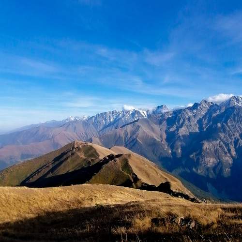 Photo #9940279
