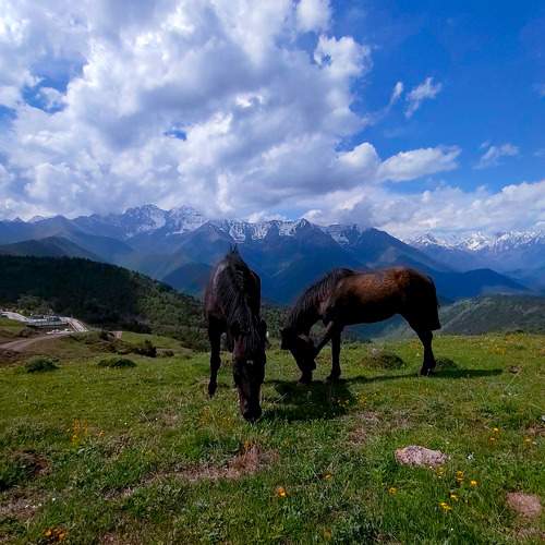 Photo #9940286
